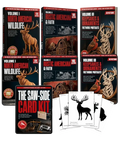 The Scroll Saw Heritage Pack